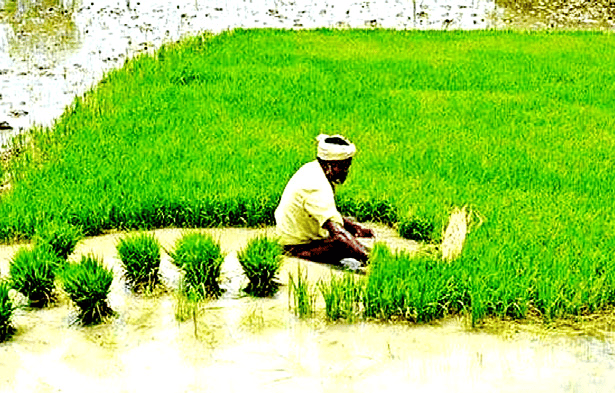 மகளிர் அரங்கம்