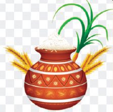 ஆசிரியர் விடையளிக்கிறார், ஞாயிறு மலர்