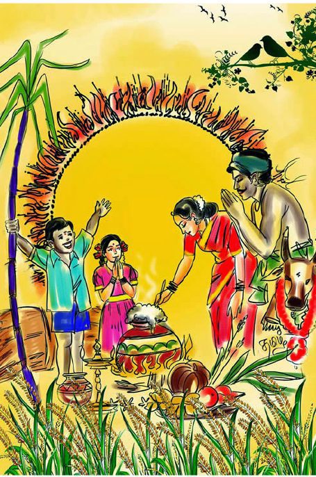 கட்டுரை, ஞாயிறு மலர்