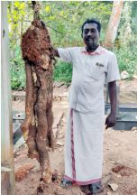 இந்தியா, மற்றவை