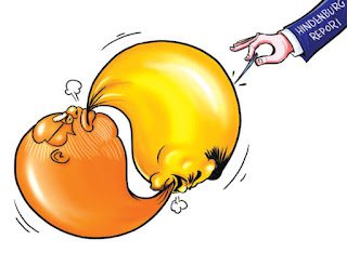 ஞாயிறு மலர்