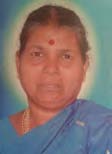 அரசியல்