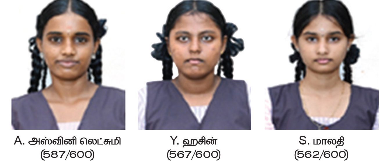 அரசியல், இந்தியா
