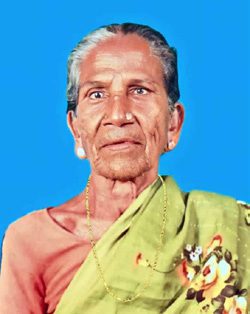 அரசியல்