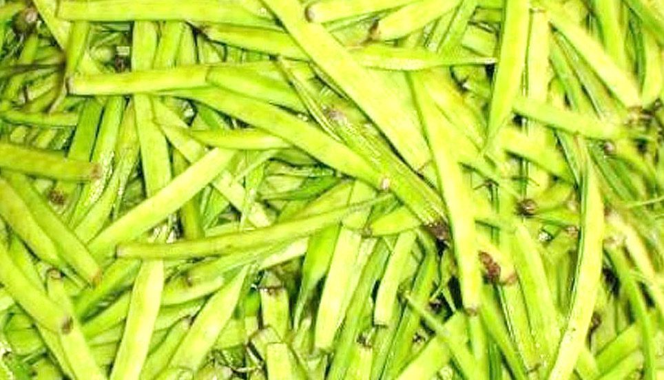 அரசியல்