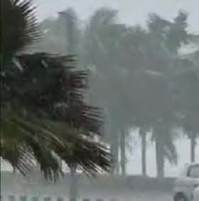 அரசியல், மற்றவை