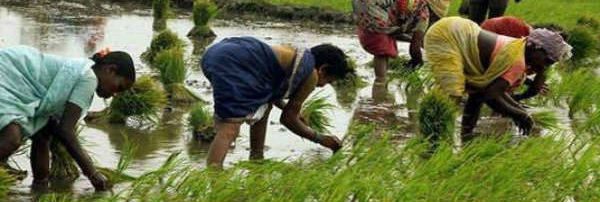 அரசியல்