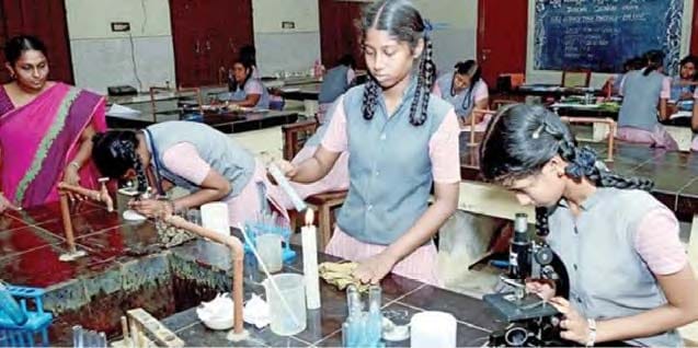 அரசியல், திராவிடர் கழகம்