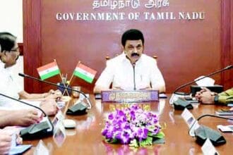 அரசு, தமிழ்நாடு