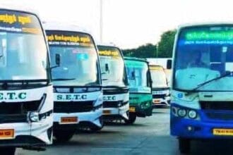 அரசு, தமிழ்நாடு
