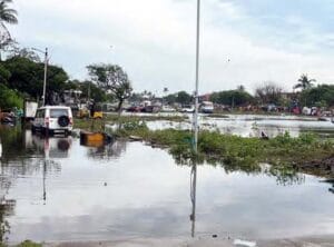 தமிழ்நாடு