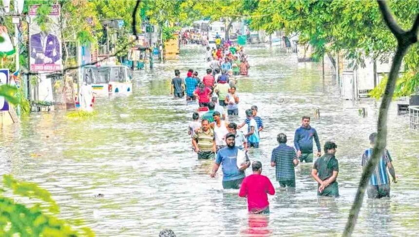 அரசு, தமிழ்நாடு