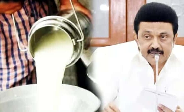 அரசு, தமிழ்நாடு