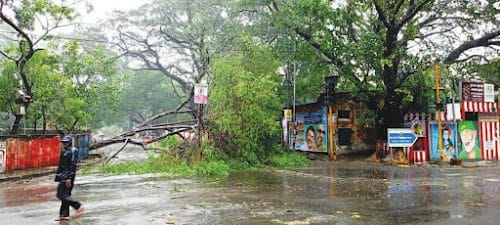 தமிழ்நாடு
