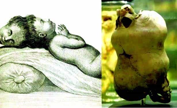 ஞாயிறு மலர்