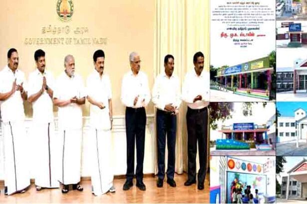 அரசு, தமிழ்நாடு