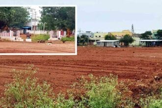 அரசியல், திராவிடர் கழகம்