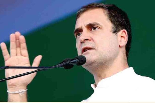 வரலாறு தெரியாத உள்துறை அமைச்சர் அமித் ஷா: ராகுல் காந்தி விமர்சனம் இந்தியா