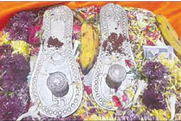 சிறப்புக் கட்டுரை