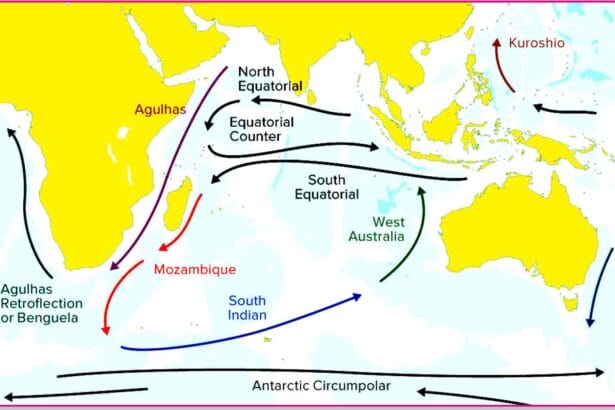 ஞாயிறு மலர்