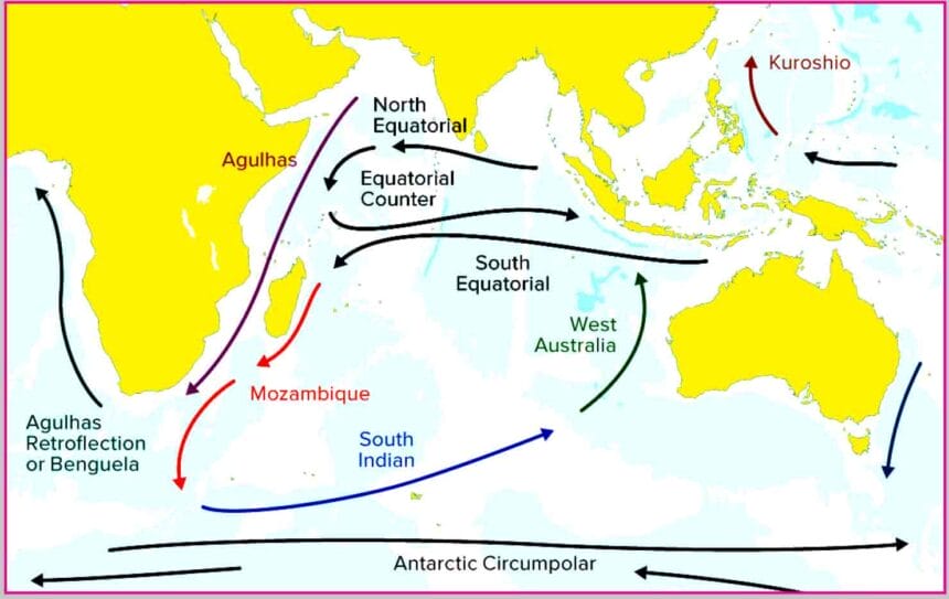 ஞாயிறு மலர்