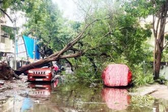 கவிதை, தமிழ்நாடு