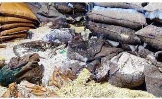 தமிழ்நாடு