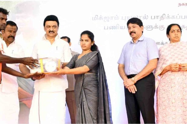 அரசு, தமிழ்நாடு