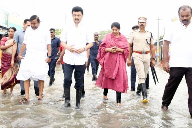 அரசு, தமிழ்நாடு