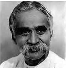 ஞாயிறு மலர், மற்றவை