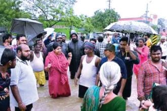 ஞாயிறு மலர்