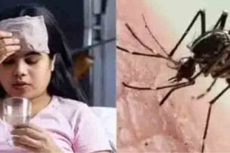 மருத்துவம்