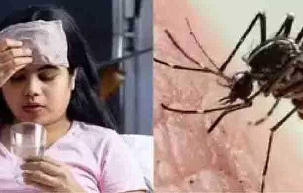 டெங்கு
