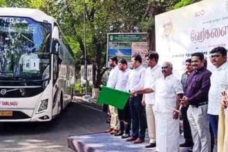 அரசு, தமிழ்நாடு