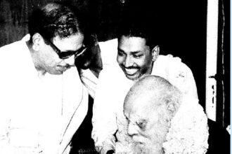 ஞாயிறு மலர்