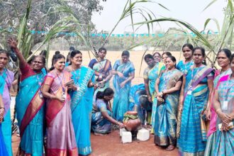 அரசியல், திராவிடர் கழகம்