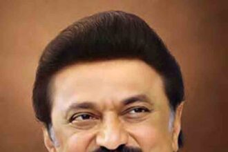 அரசு, தமிழ்நாடு