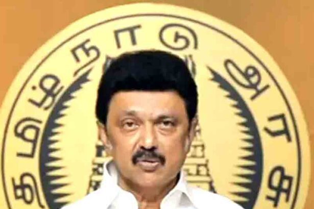 அரசு, தமிழ்நாடு