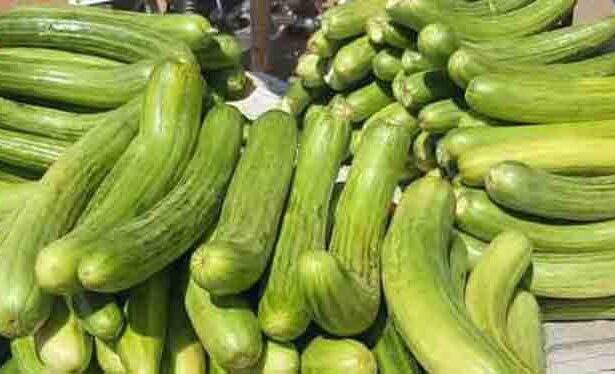 மருத்துவம்