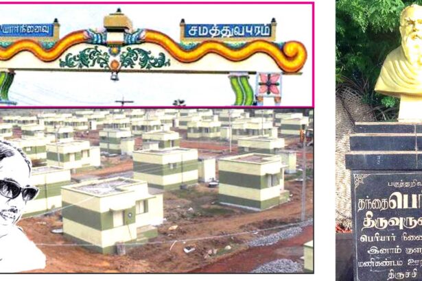 ஞாயிறு மலர்