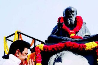 ஞாயிறு மலர்