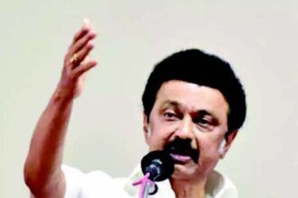 ஞாயிறு மலர்