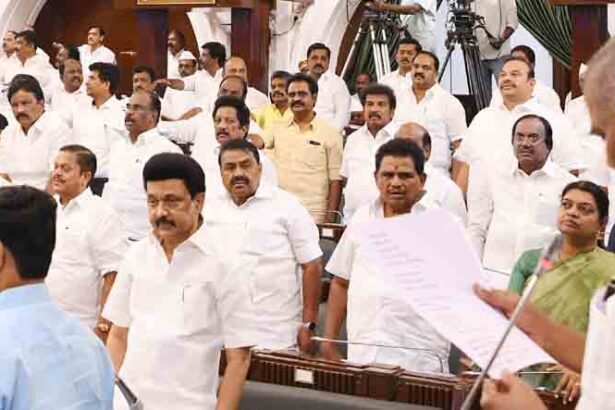 உலகத் தாய்மொழி நாள் தமிழ்நாடு சட்டமன்றப் பேரவையில் உறுதியேற்பு தமிழ்நாடு