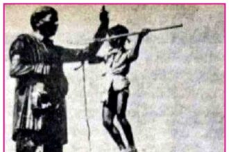 கட்டுரை, ஞாயிறு மலர்
