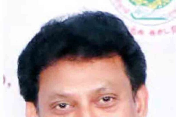 அரசு, தமிழ்நாடு