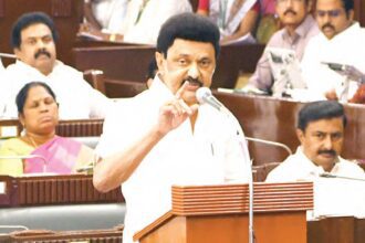 அரசு, தமிழ்நாடு