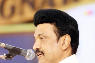 அரசு, தமிழ்நாடு