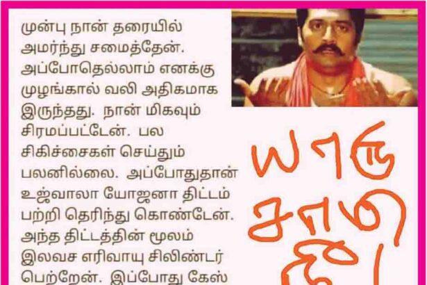 ஞாயிறு மலர்