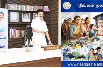 அரசு, தமிழ்நாடு