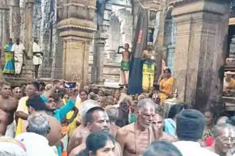 அரசு, தமிழ்நாடு